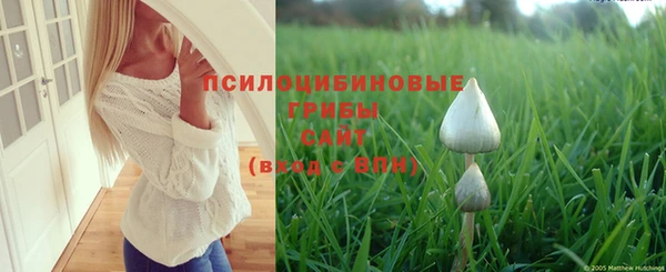 кокаин Белокуриха