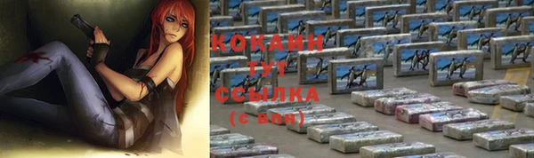 мдпв Богородск