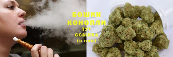 мдпв Богородск