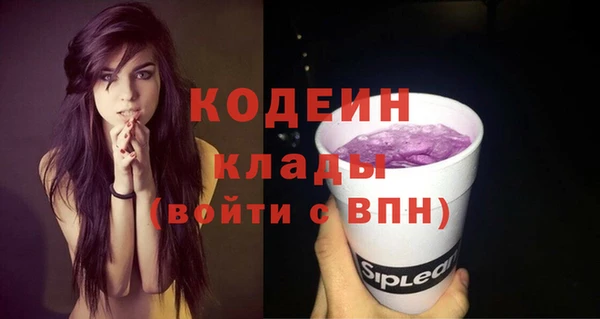 мдпв Богородск