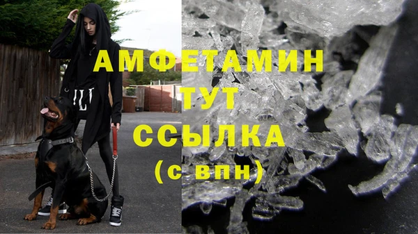 мдпв Богородск